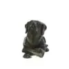 Cast: Labrador - Image 2