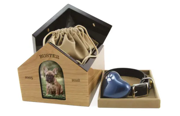 Pet House - Image 2